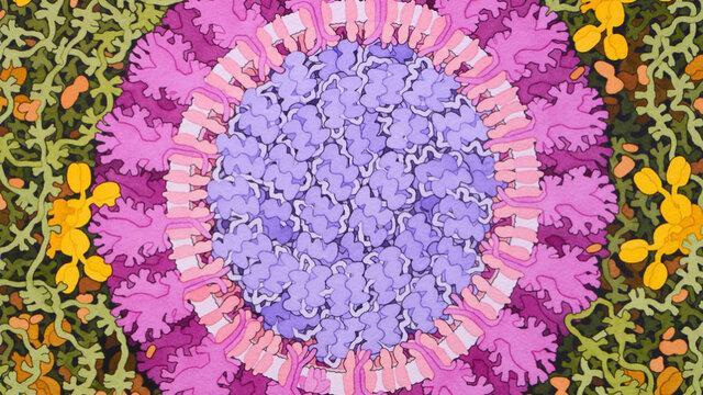 کرمان آمادگی 100 درصدی برای مبارزه با کرونا ویروس را دارد