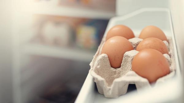 راه هایی برای تشخیص تخم مرغ سالم ، این تخم مرغ ها را هرگز مصرف نکنید ، وجود لکه های خون در تخم مرغ نشانه چیست؟